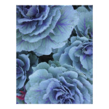 Kale Customized Letterhead