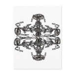 Kaleidescopic Bicycles with Levi G. signature Postcard