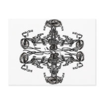 Kaleidescopic Bicycles with Levi G. signature Post Card