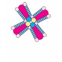 kaleidoflower hot pink t-shirts