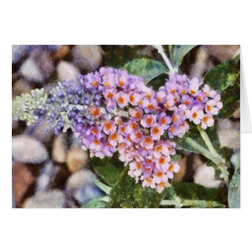 Kaleidoscope Butterfly BushNotecard Card Zazzle