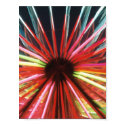 Kaleidoscope Spiral posters