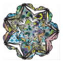 KALEIDOSCOPIC FLOWER posters by LuliCereseto KALEIDOSCOPIC FLOWER posters