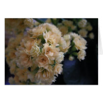 kalenchoe blooms greeting cards