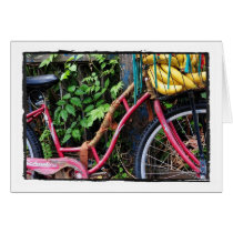 Kali Bike cards