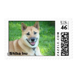 Kali enjoying the weather postage