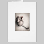 Kali Sitting II cards