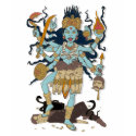 kali t-shirts