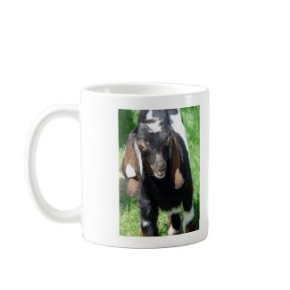 Kalvin mug
