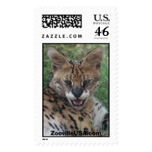 Kamau-sm, ZoovilleUSA.com Stamp