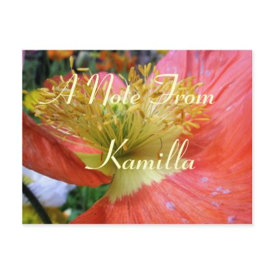 Kamilla Postcards by lollypopgirrrl