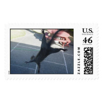 Kamizazi Squirral postage by nscholes850 Kamizazi Squirral postage
