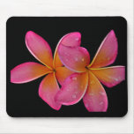Kaneohe Sunburst Plumeria Mouse Mats