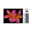 Kaneohe Sunburst Plumeria postage by TrevorStar Kaneohe Sunburst Plumeria postage