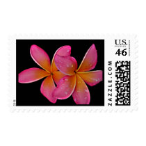 Kaneohe Sunburst Plumeria postage