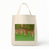 kanga bag