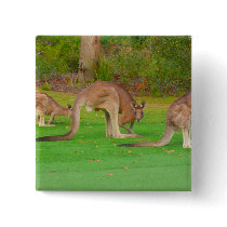 kanga buttons