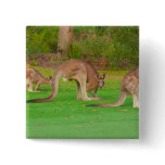 kanga buttons