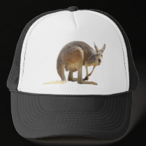 Kanga hats