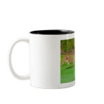 kanga mugs