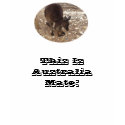 kanga, This Is Australia Mate! t-shirts by JulzFineDesigns kanga, This Is Australia Mate! t-shirts