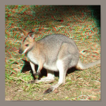 Kangaroo 3D Anaglyph Poster posters