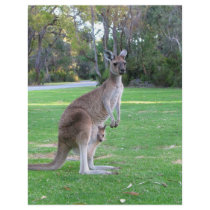 Kangaroo and Joey flyers