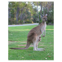 Kangaroo and Joey Personalized Letterhead