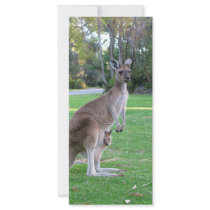 Kangaroo and Joey rack cards