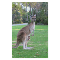 Kangaroo and Joey Custom Stationery