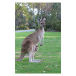 Kangaroo and Joey Custom Stationery