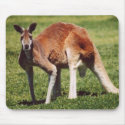 Kangaroo Australia Mousepad mousepad