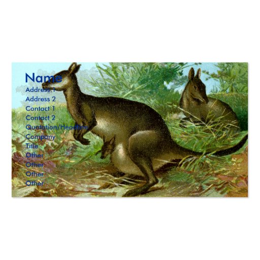 Kangaroo Business Card (front side)