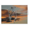 Kangaroo Card