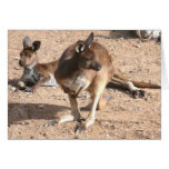 Kangaroo Card