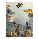 Kangaroo Holiday Postcards