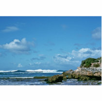 Kangaroo Island, South Australia photo sculptures