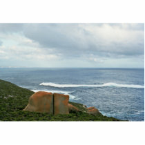 Kangaroo Island, South Australia photo sculptures