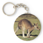 Kangaroo Key Chain