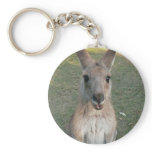 Kangaroo Key Chain