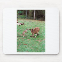 Kangaroo mousepads
