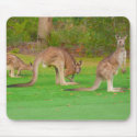 kangaroo mousepad by acmedesign kangaroo mousepad