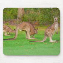 kangaroo mousepad