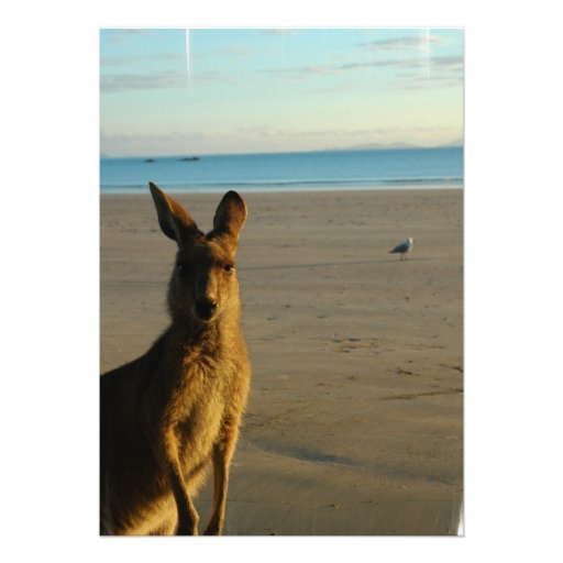 Kangaroo Photo Invitation