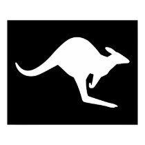  Kangaroo posters