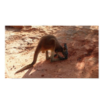 Kangaroo posters