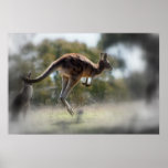 Kangaroo Print