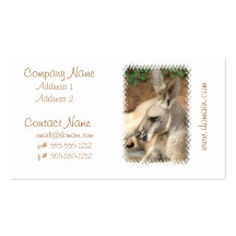 Kangaroo Profile Business Cards
