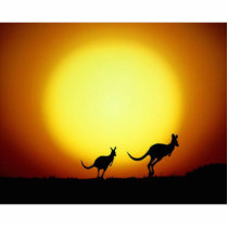 Kangaroos in the Australian Outback Acrylic Cut Out