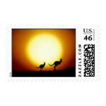 Kangaroos in the Australian Outback Stamp